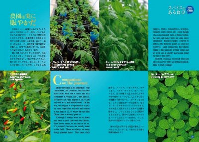 画像2: Spice Journal vol.04（在庫少）