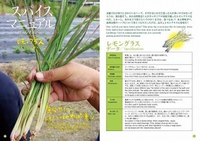 画像1: Spice Journal vol.11（在庫少）